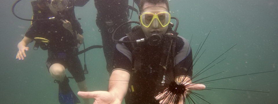 professional diving on Phu Quoc